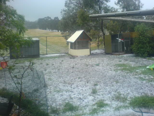 DSC01173.jpg