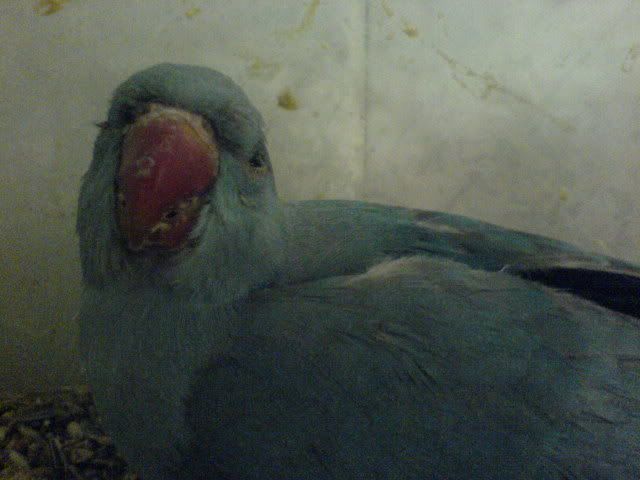 DSC01212.jpg