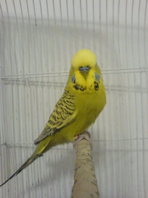 DSC01214.jpg