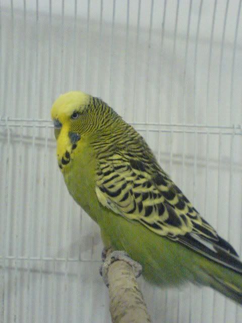 DSC01221.jpg