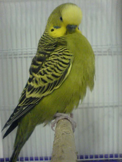 DSC01229.jpg