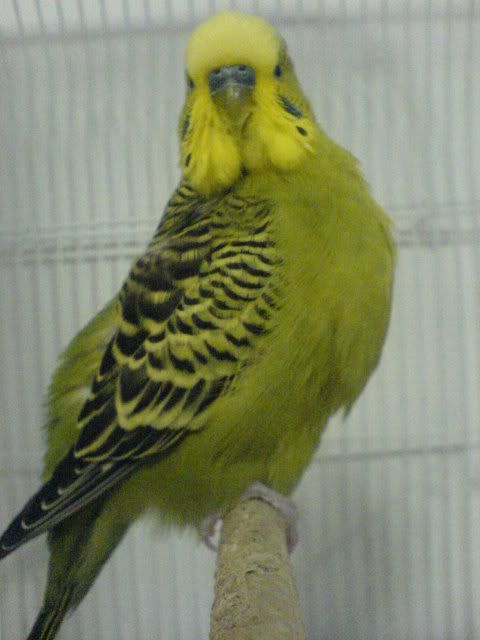 DSC01230.jpg
