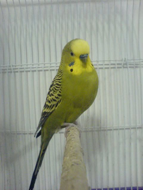 DSC01231.jpg