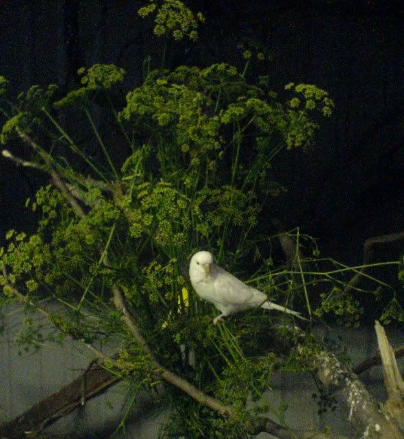 DSC01263_edited.jpg