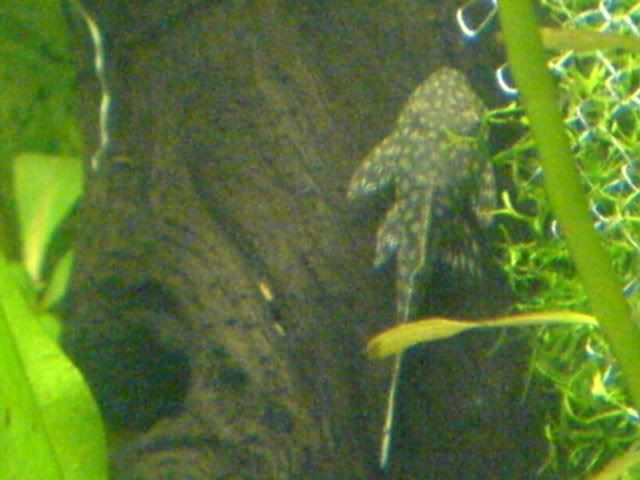 DSC01268.jpg