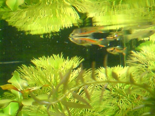 DSC01274.jpg