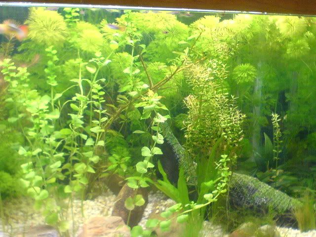 DSC01276.jpg