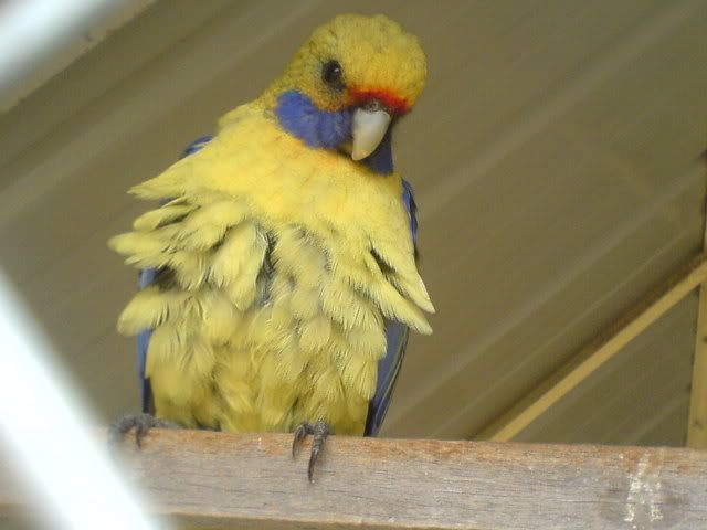 DSC01279.jpg