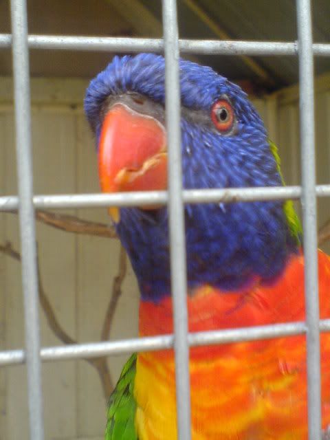 DSC01280.jpg