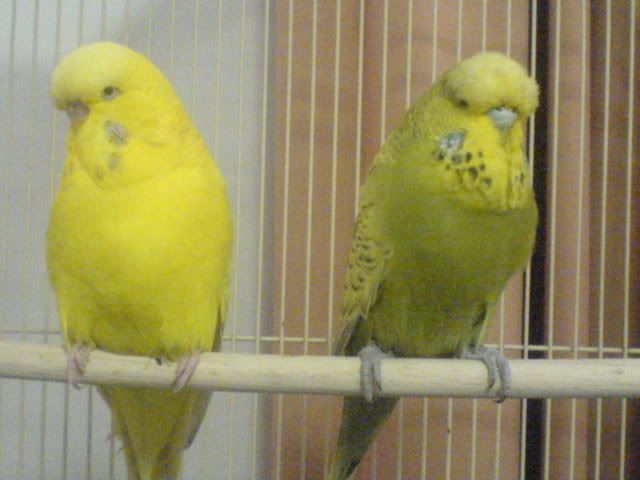 DSC01349.jpg