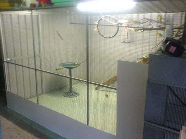 DSC01355.jpg