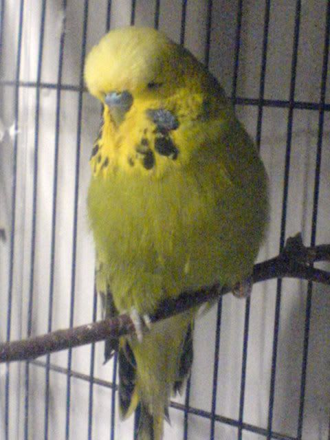 DSC01381.jpg