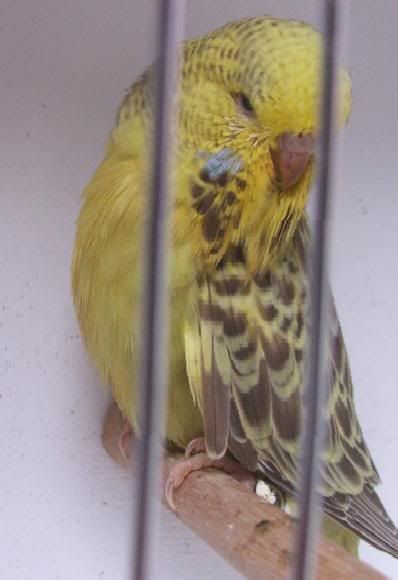 DSCF3574.jpg