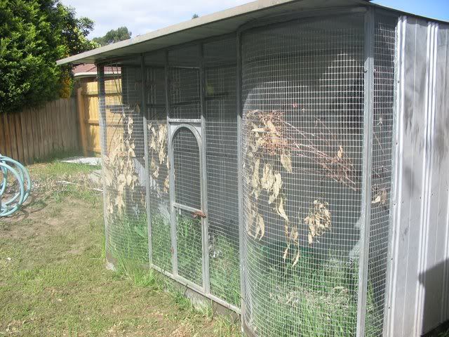 aviary.jpg