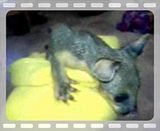 th_MOV00002-1.jpg