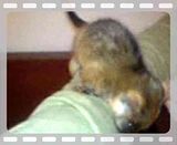 th_MOV00002-2.jpg