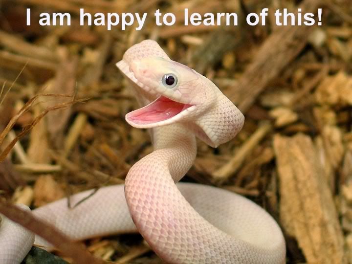 Happysnake.jpg