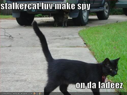 lolcats-17.jpg