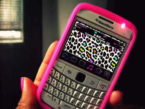 pink blackberry Pictures, Images and Photos