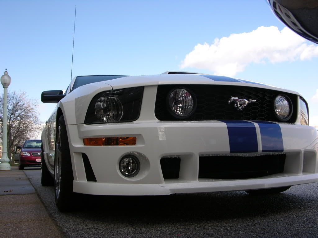 Mustang2.jpg