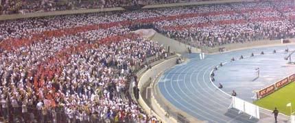 Zamalek Fans