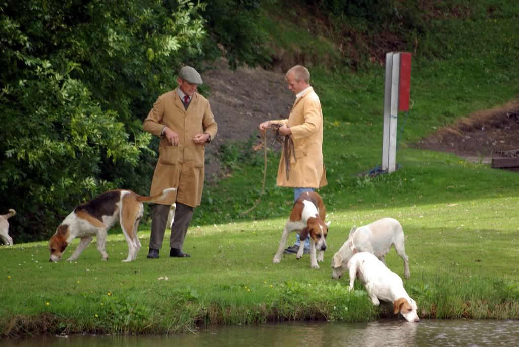 yorkshireshow018.jpg