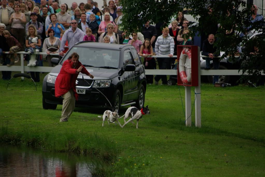 yorkshireshow141.jpg