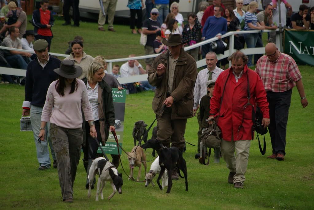 yorkshireshow350.jpg