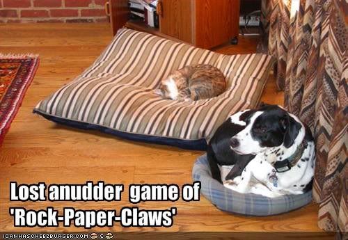 funny dog photos photo: Rock Paper Claws 338.jpg