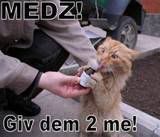 MedCat.jpg