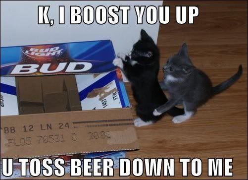 beercats.jpg