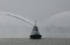 tugs294.jpg