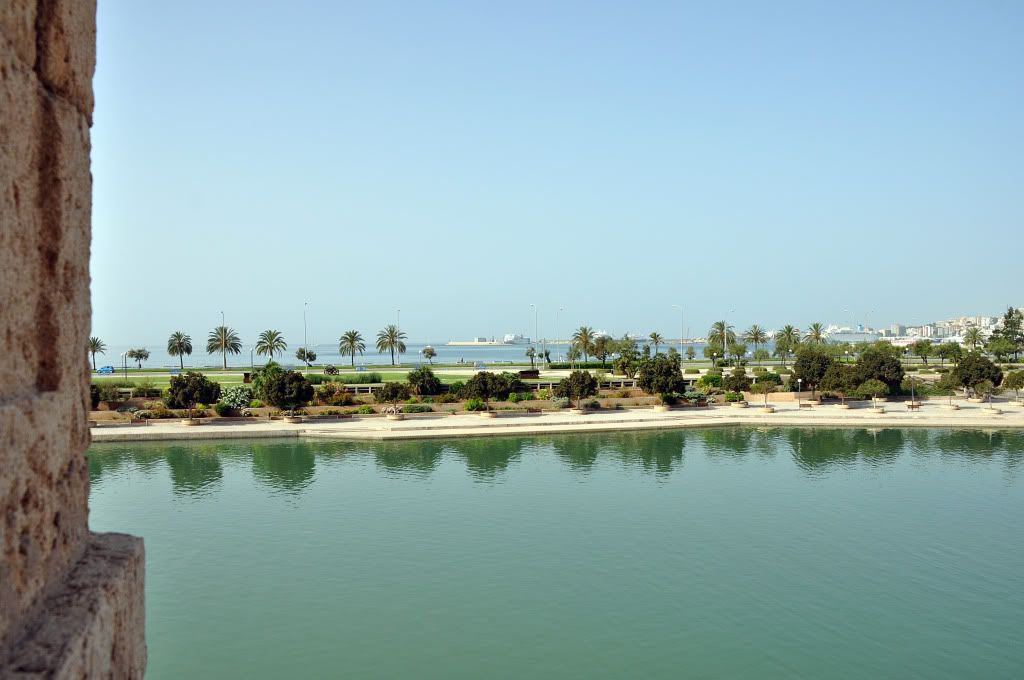 DSC_0018.jpg