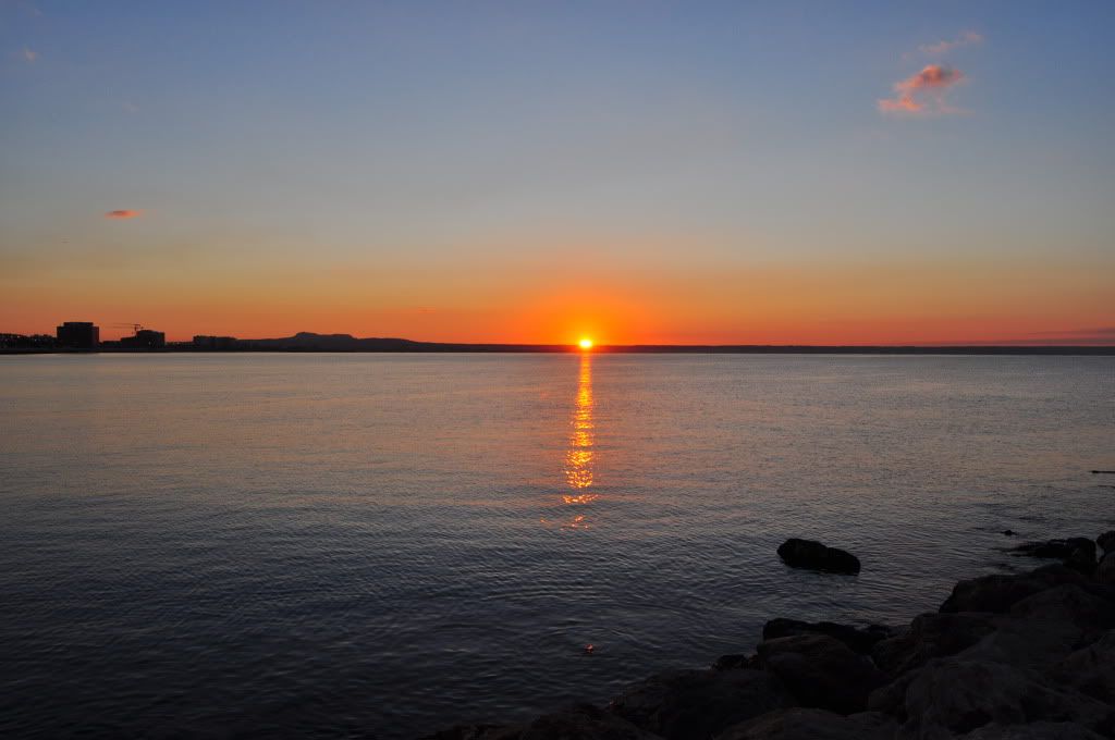DSC_0277.jpg