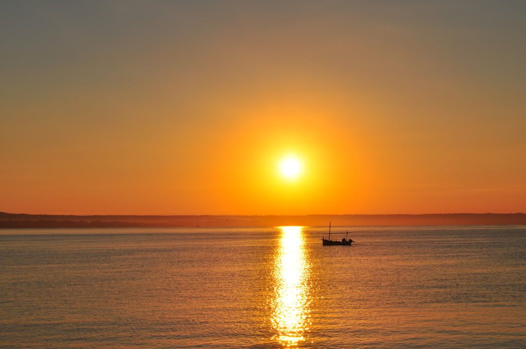 DSC_0311.jpg