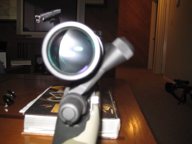 GAPbolt005.jpg