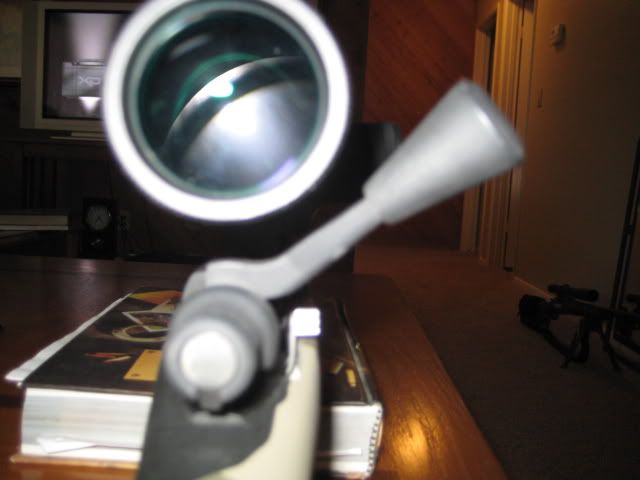 GAPbolt006.jpg