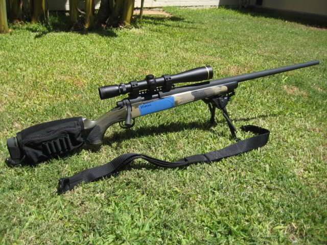 Shilencrown243Varmint005.jpg
