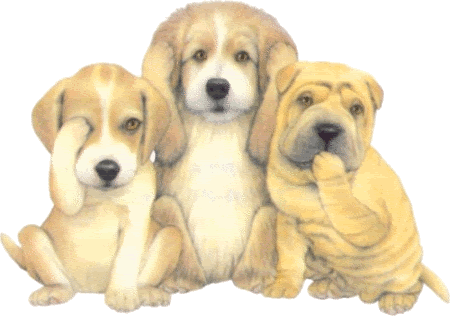 Puppies dogs pictures gallery