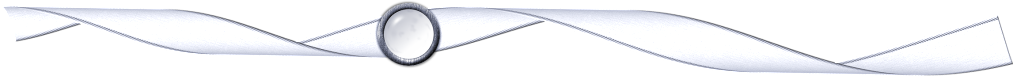 nytr_belt.png