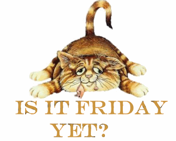 isitfridayyet.gif is it friday yet image by trblhdfun