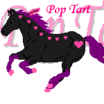 customhorsePopTart.png