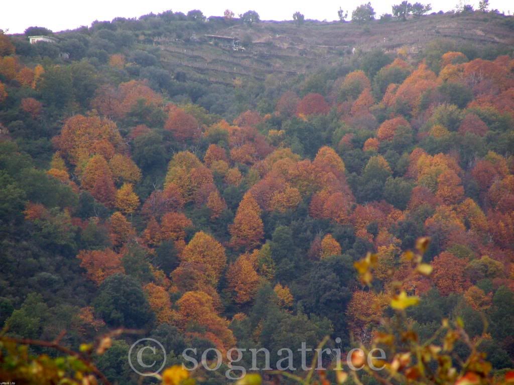 fall in southern italy