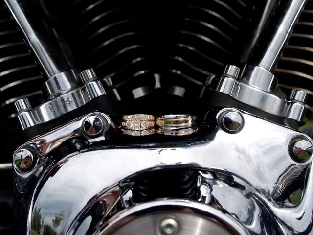 IMAGE: http://i187.photobucket.com/albums/x66/expressivestudios/P9084599.jpg