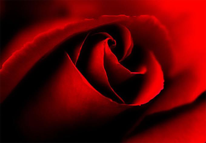 7531414-md.jpg picture by anchonorte