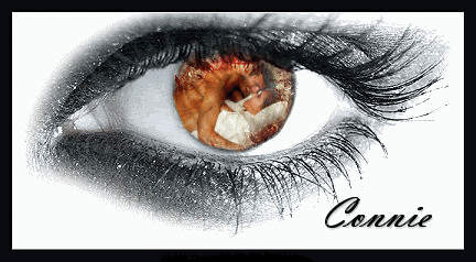 Photo 
Sharing and Video Hosting at Photobucket