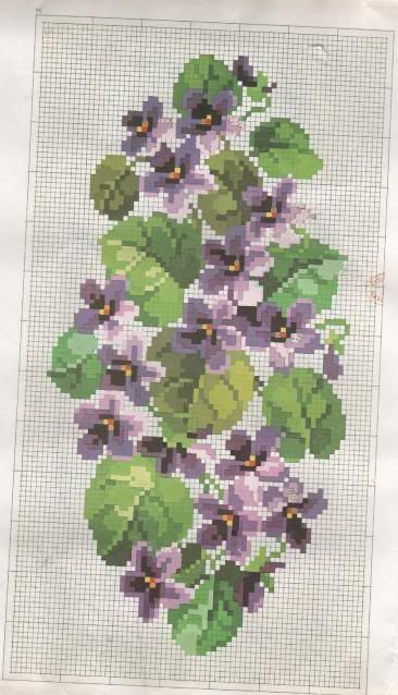violettes