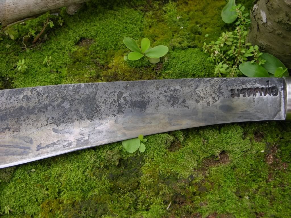 [Linked Image from i187.photobucket.com]