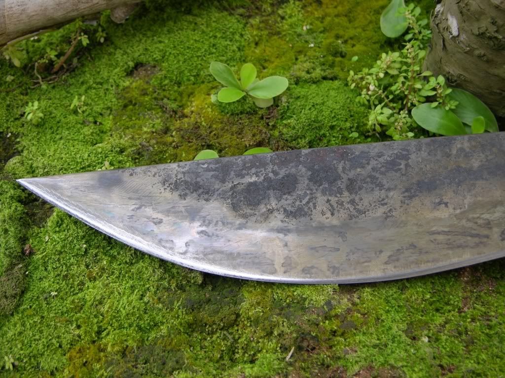 [Linked Image from i187.photobucket.com]