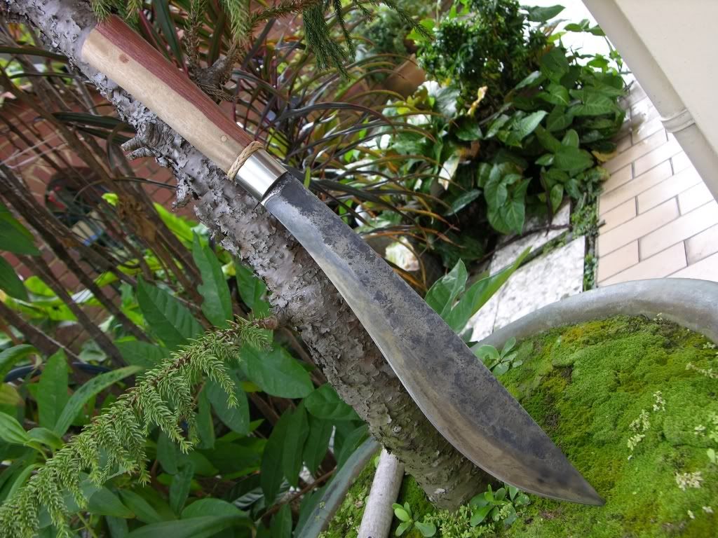 [Linked Image from i187.photobucket.com]